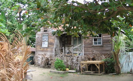Misrobo's crude wooden hut.