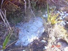 Heaphy Track - yet another frozen puddle