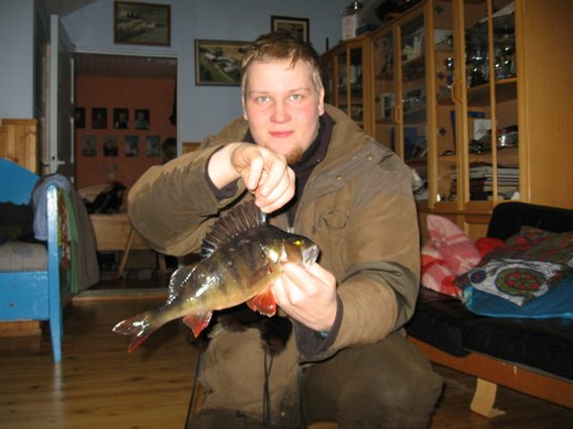 I and biggest perch and my biggest perch ever!